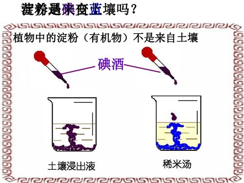 第5節(jié) 光合作用下載 生物