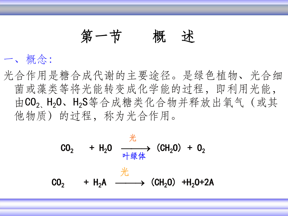 生物化學(xué)視角下的光合作用