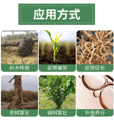 諾普信葉脈動 科學(xué)應(yīng)對黃化病，賦能植物光合作用
